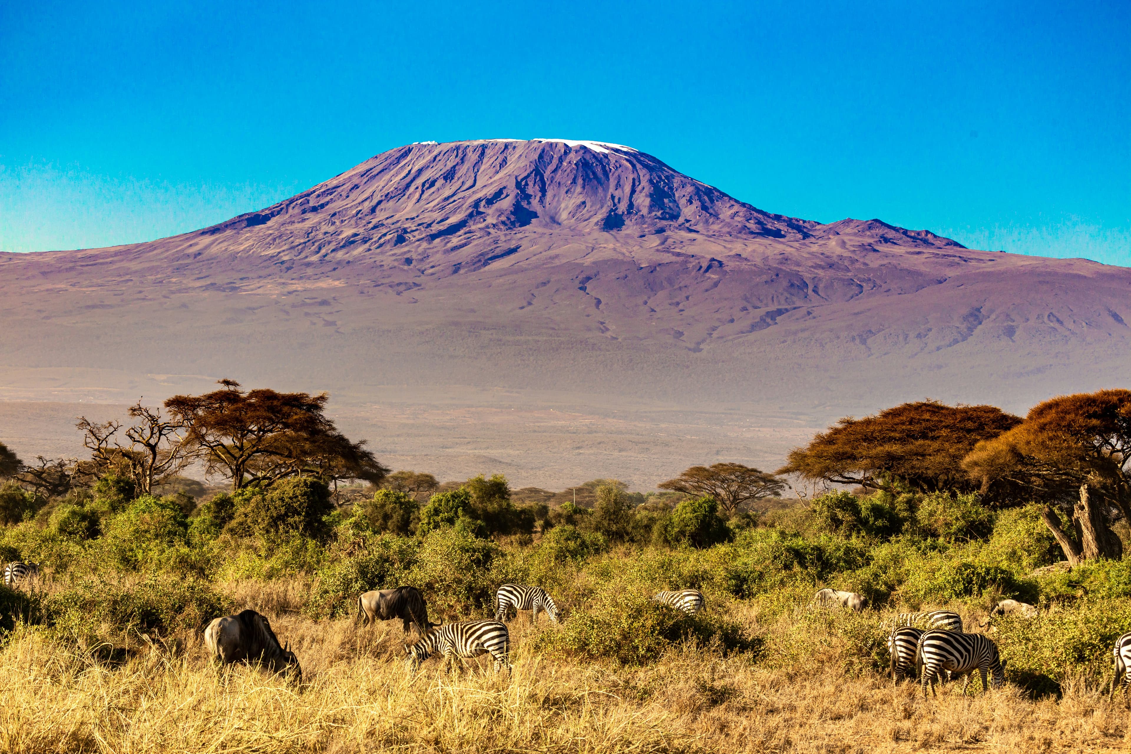 Mount Kilimanjaro rising above the savanna